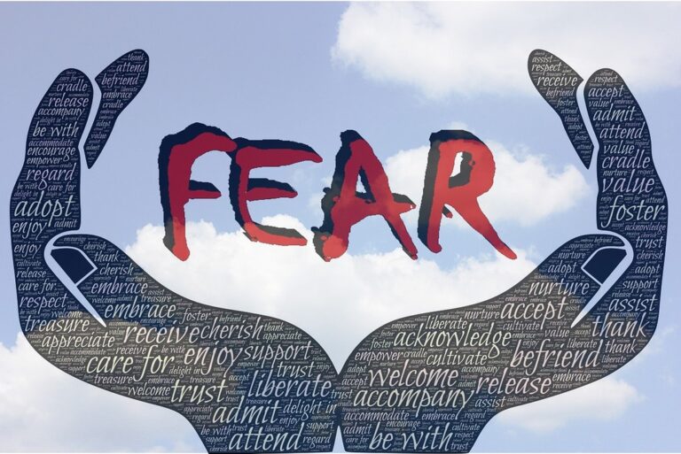 Fear in learning